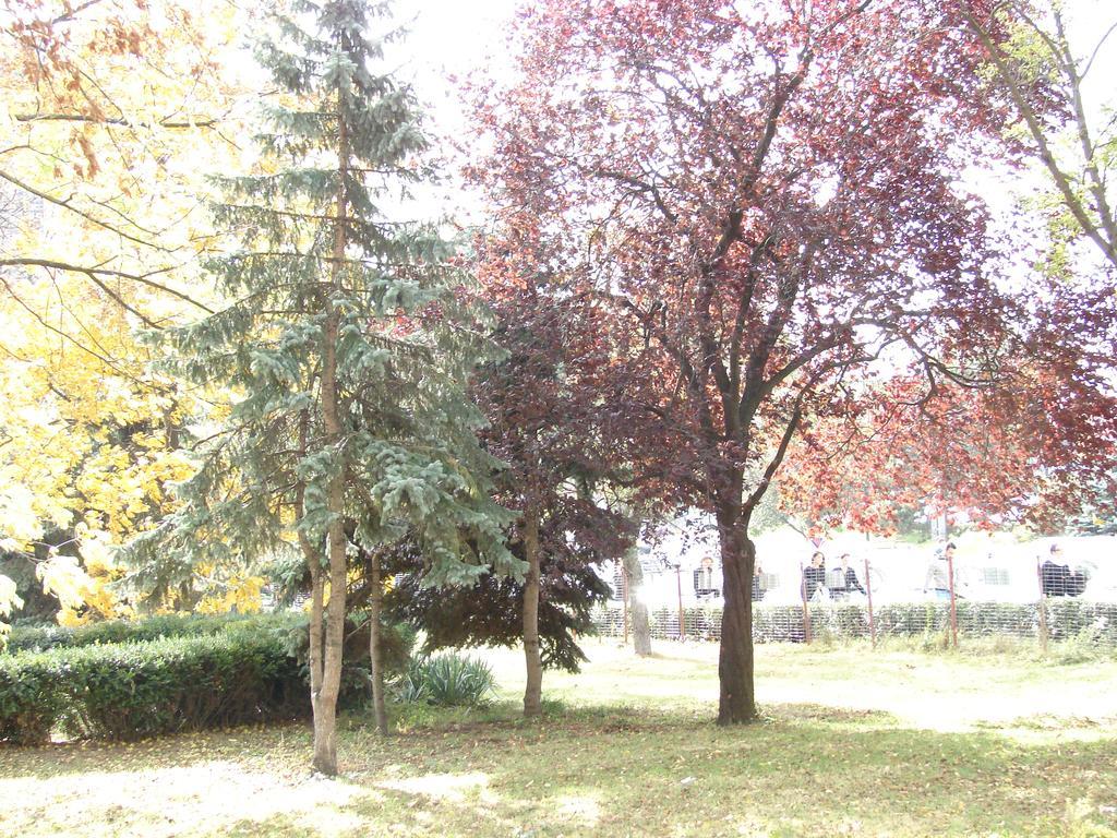 Central City Ap Sibiu Buitenkant foto